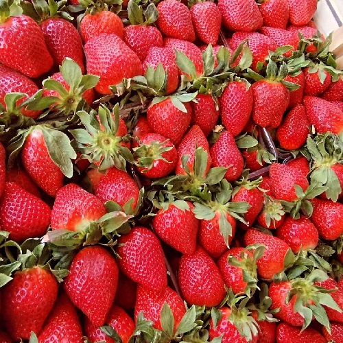 Ассортимент вкусных и свежих фруктов в Тирасполе купить по лучшей цене в ПМР магазин ВИНИГРЕТ