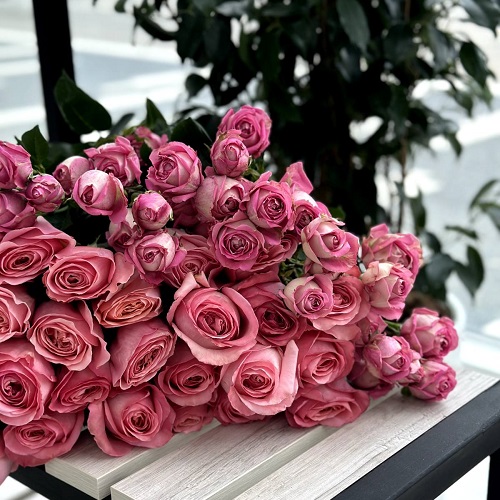 Букет шикарных и свежих роз - Доставка цветов в Тирасполе от 500 рублей ПМР