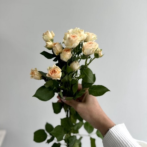 Букеты цветов с доставкой на дом в Тирасполь - букет из свежих роз с оформлением