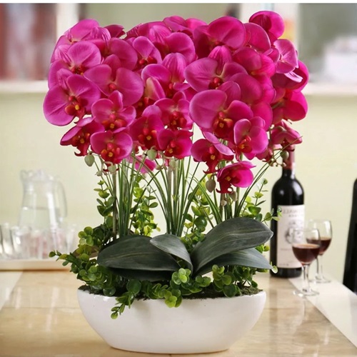 Цветы Орхидея Тирасполь - купить красивые и свежие цветы в Тирасполе. Лучшие цены. Красивые.