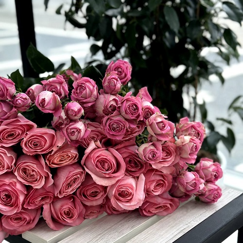 Flowers shop PMR - Роскошная Розовая Гамма