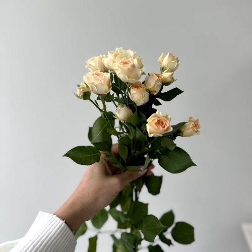 Flowers shop PMR - Розовое Очарование