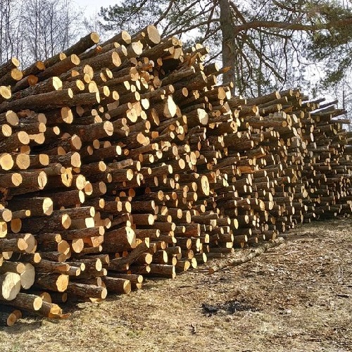 Мурино дрова СПб доставка свежих колотых дровишек по ценам от производителя