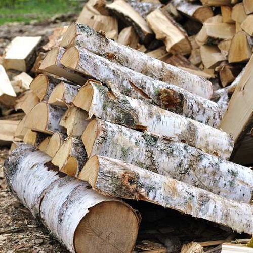Дрова без выходных СПб - заготовка березовых дров