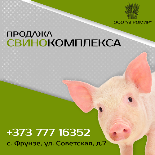 АГРОМИР - Агропромышленное предприятие полного цикла специализирующееся на производстве и переработке мяса свинины. Инвестиции в сельское хозяйство в Молдове. Продажа свиноводческого комплекса Молдова