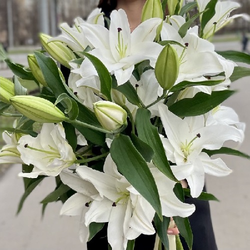 Цветы для праздника свежие белые лилии в букете по цене от 25 рублей за штуку. Доставка без выходных.