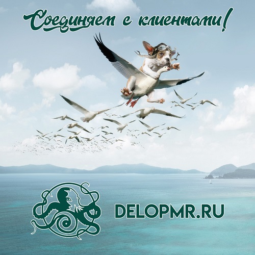 Designer PMR: Дизайнер Маркетолог Тирасполь - услуги специалиста в Приднестровье