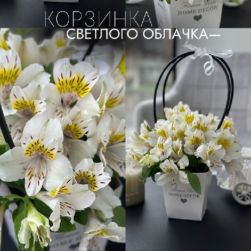 Белый букет цветов альстромерия - купить и заказать доставку букетов в Тирасполе